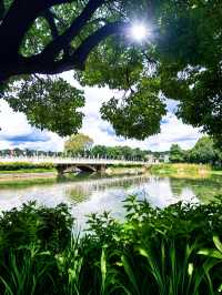 石林一日遊攻略：4小時玩轉大石林+小石林，不走冤枉路