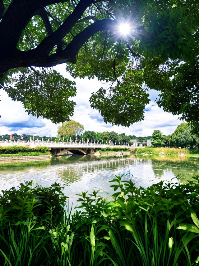 石林一日遊攻略：4小時玩轉大石林+小石林，不走冤枉路