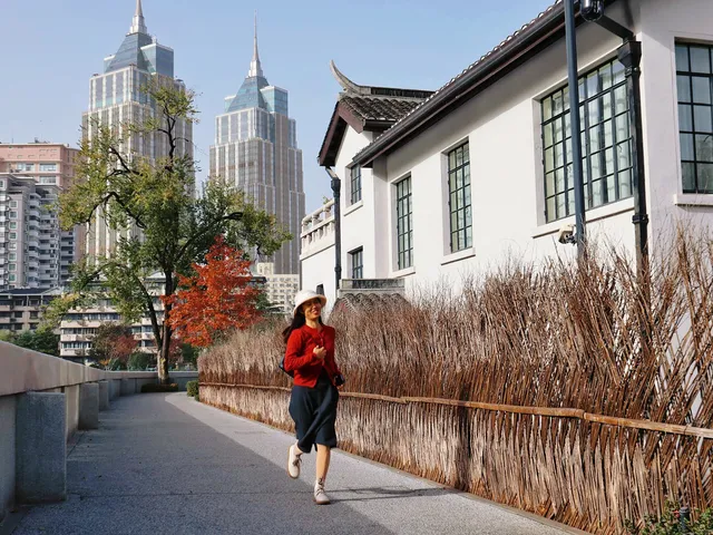 11.27這裡的絕美百年銀杏與梧桐沒人拍，快衝