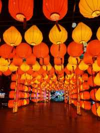 昆明大觀公園新春燈會(八)