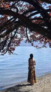 滬滸湖 你美！來瀘滸湖真的不用做太多攻略