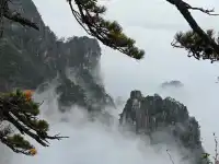 蕪湖黃山四日遊