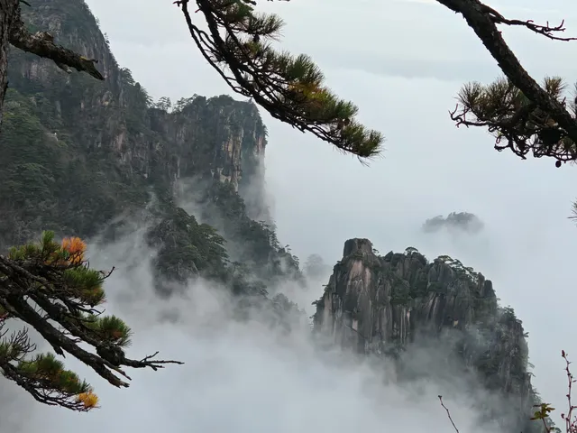 蕪湖黃山四日遊 蕪湖黃山四日遊