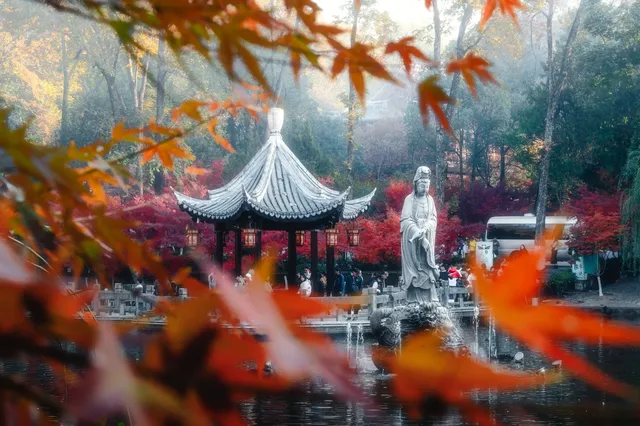 連夜來到南京只為拍到這幾張