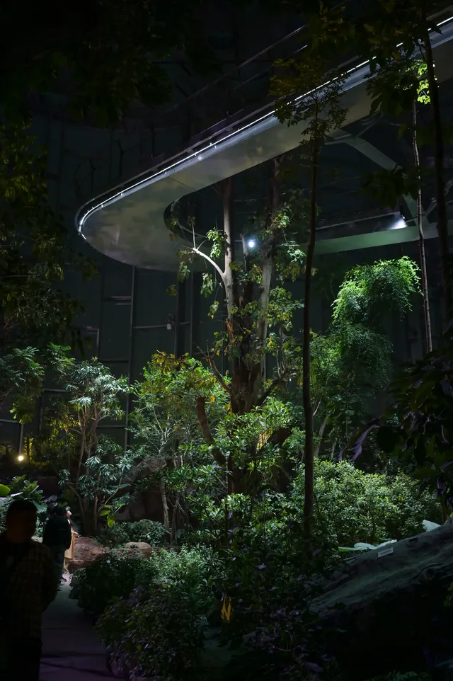 日落前入園！溫室花園日夜場一次看完