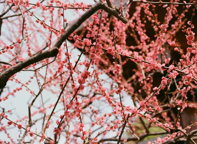 靜安雕塑公園必玩攻略治癒系路線 靜安雕塑公園必玩攻略治癒系路線