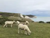 英法意17日雙人蜜月自由行行程及費用分享～