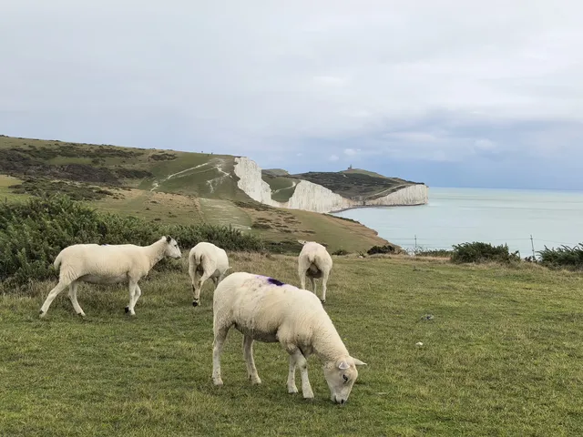 英法意17日雙人蜜月自由行行程及費用分享～