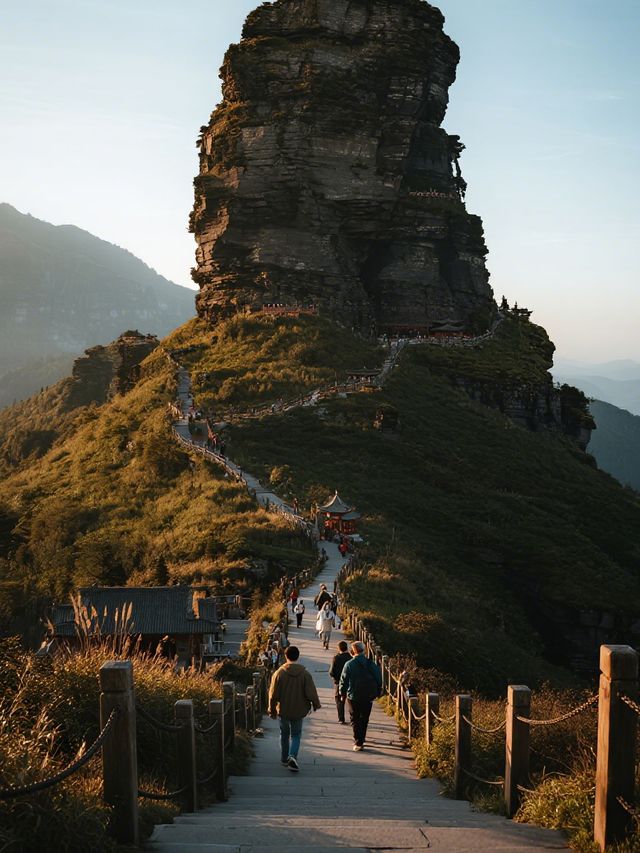 昆明高鐵1h 冬日抹茶親子遊治癒攻略 昆明高鐵1h 冬日抹茶親子遊治癒攻略