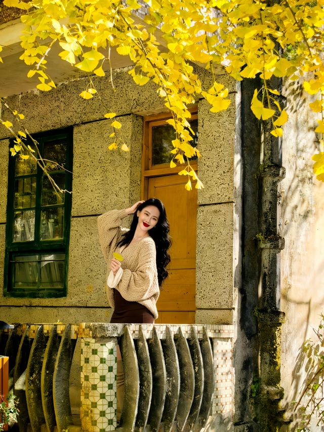 藏在廣東的「金色風暴眼」!銀杏迎來年度顏值巔峰! 藏在廣東的「金色風暴眼」!銀杏迎來年度顏值巔峰!