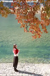 永嘉紅楓古道的紅楓紅了