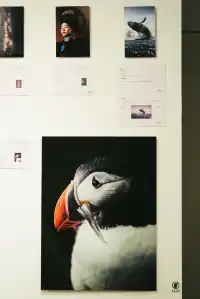 廈門看展|著迷於光落在生活的詩意裡