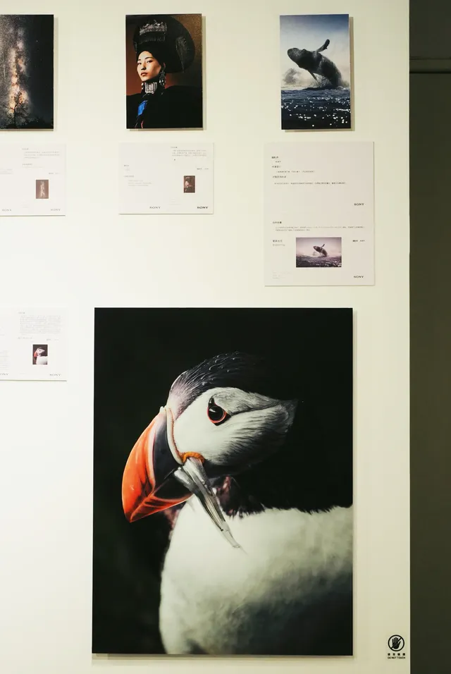 廈門看展|著迷於光落在生活的詩意裡 廈門看展|著迷於光落在生活的詩意裡