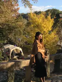 真的不是在京都!就在福州…