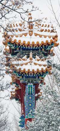 北京下雪啦!一起来看看故宮的雪景吧!