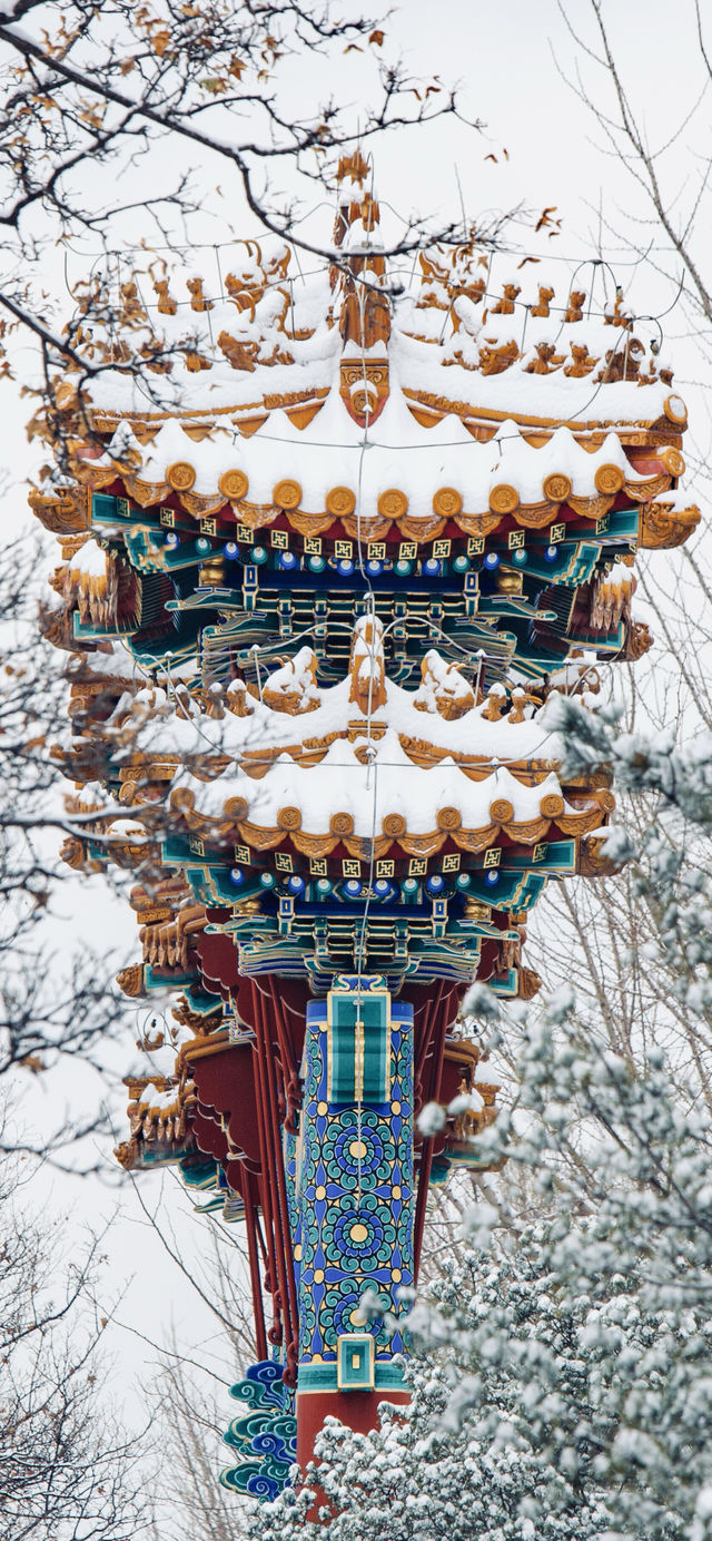 北京下雪啦!一起来看看故宮的雪景吧! 北京下雪啦!一起来看看故宮的雪景吧!