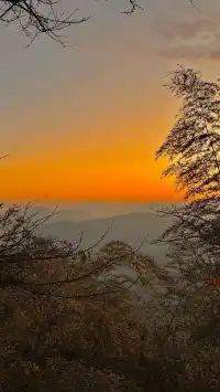 12月的莫干山美到失語徒步百年古道