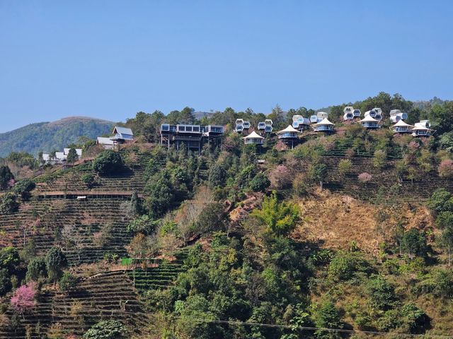 張家界徒步秘境 張家界徒步秘境