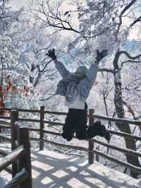 高速直達老君山50人+純玩團