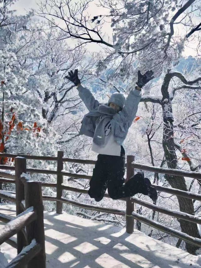 高速直達老君山50人+純玩團 高速直達老君山50人+純玩團