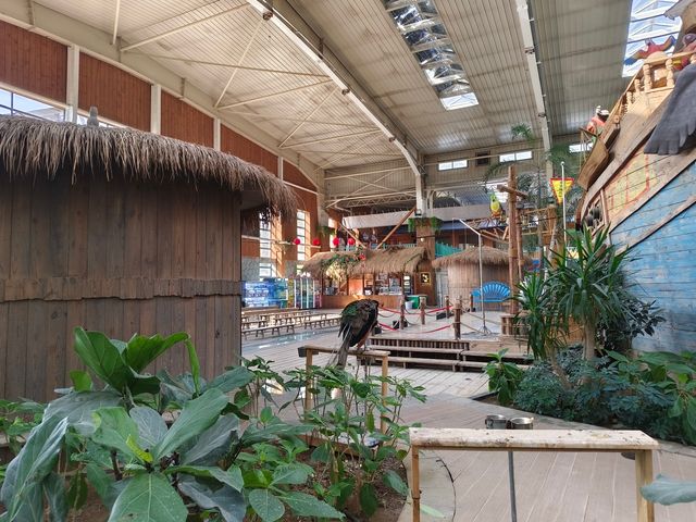 20250928   藏在北京的秘密森林：五洲植物樂園