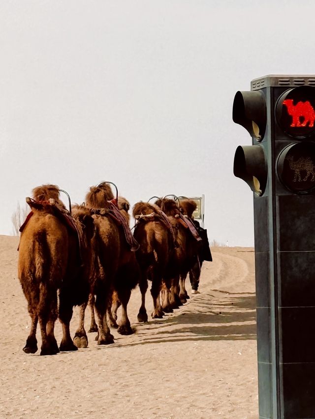 中國最孤獨的孩子—大地之子! 中國最孤獨的孩子—大地之子!