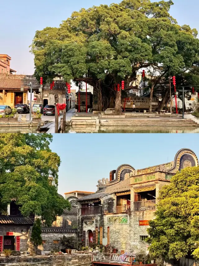 Foshan · My Secret 3 Stunning Ancient Villages｜Fewer People, Beautiful Scenery, Super Healing