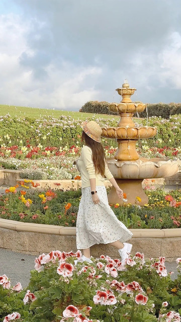 花畑です。 サンディエゴで最も夢のような花畑、世界で有名な虹色の花畑トップ10の