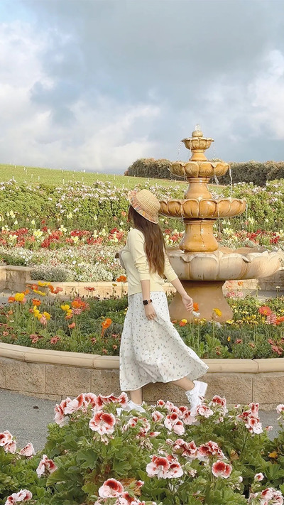サンディエゴで最も夢のような花畑、世界で有名な虹色の花畑トップ10の