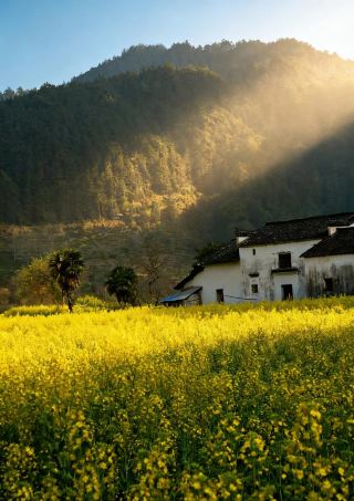 โฮมสเตย์ฮวงซานชูไป (สาขาทางเข้าประตูใต้)