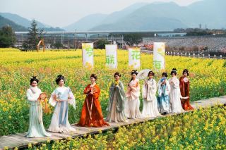 แผนที่แหล่งท่องเที่ยวกลางแจ้งยอดนิยมในฤดูใบไม้ผลิของเขตพัฒนาใหม่ฝูโจว | เขตฉางเล่อ!