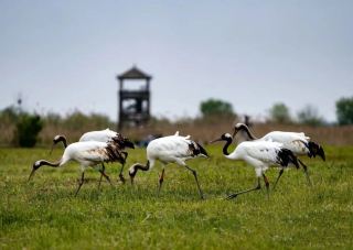 옌청 문화관광, 쑤저우 슈퍼리그 양면 무료 입장 혜택 출시