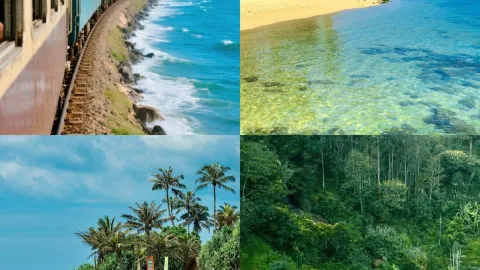 Sri Lanka 15-Day In-Depth Travel Guide — traveler post in Negombo