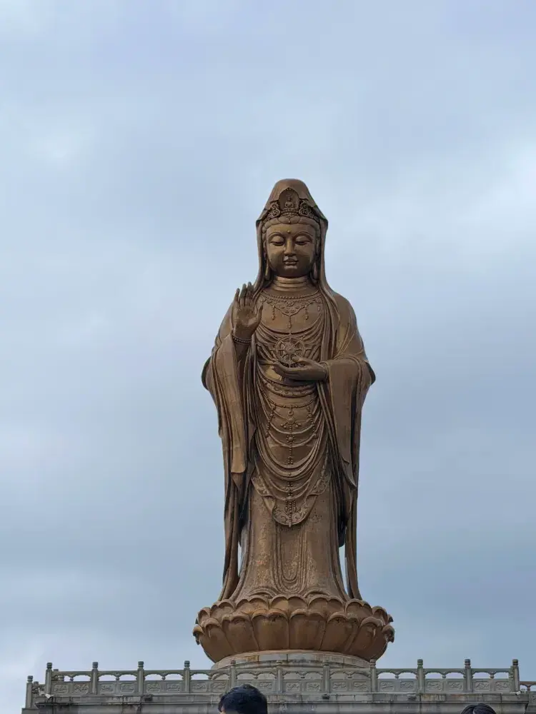 普陀山的治癒之旅｜風會撫平你所有焦慮Ø