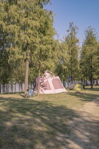 Foshan's entire stretch along the river features rolling green lawns with unobstructed views, showcasing the Dongping River and the new city skyline in one frame