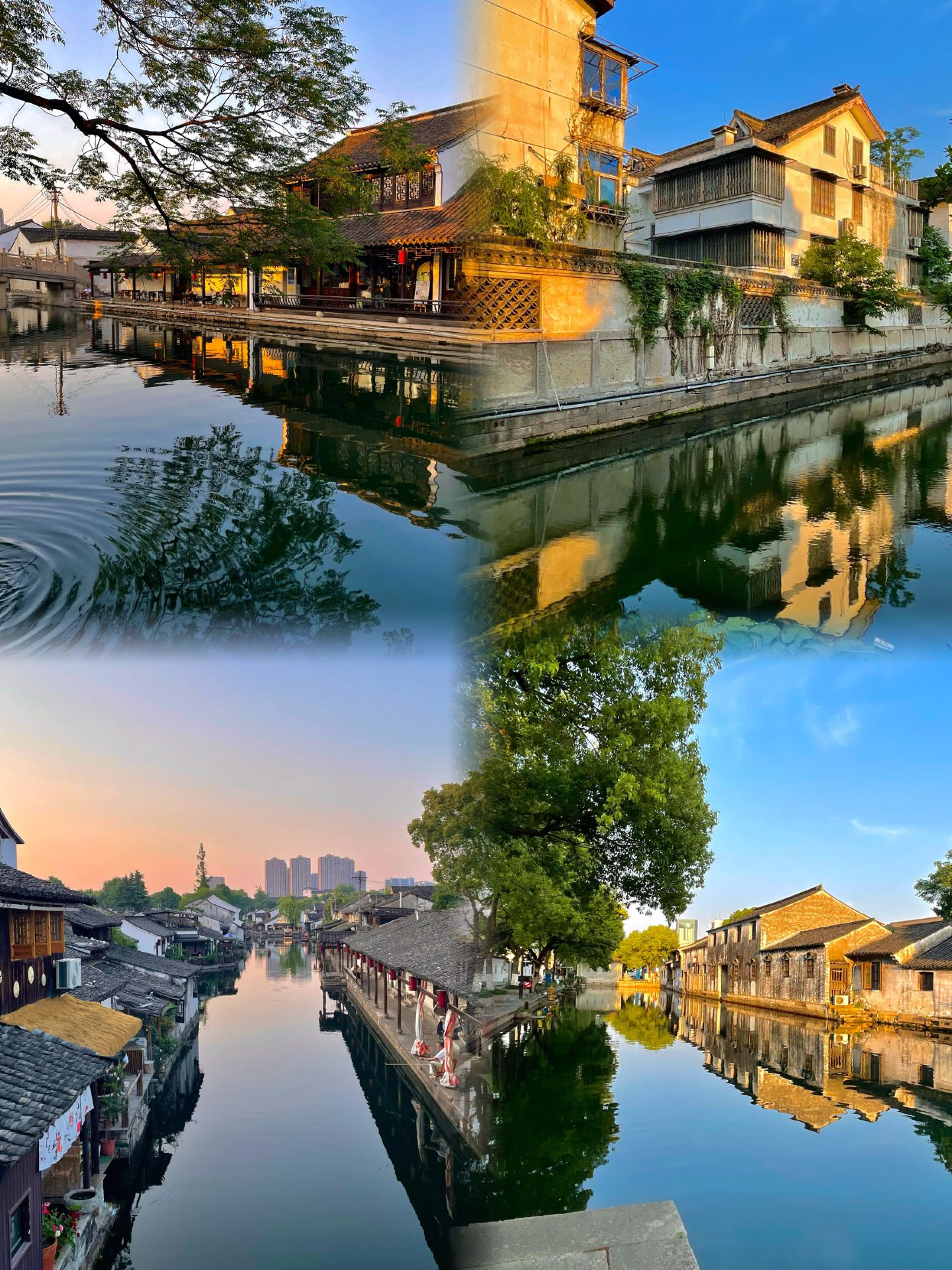 Shaoxing is great but I won’t come back because it’s just too much…