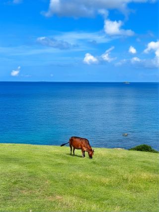 3-day summer trip to Australia