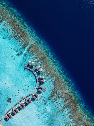 素晴らしいスタッフと生き生きとしたサンゴ礁に囲まれた楽園のひととき。