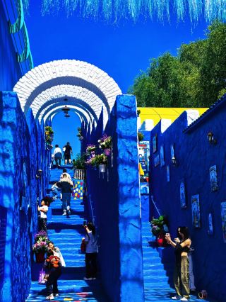 Harbin, you're crazy not to promote this!