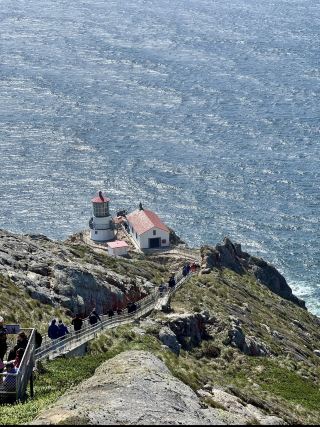 ทริปเที่ยว Point Reyes: ตามล่าสายหมอก ดูน้องเอลก์ และสำรวจสุดขอบโลก