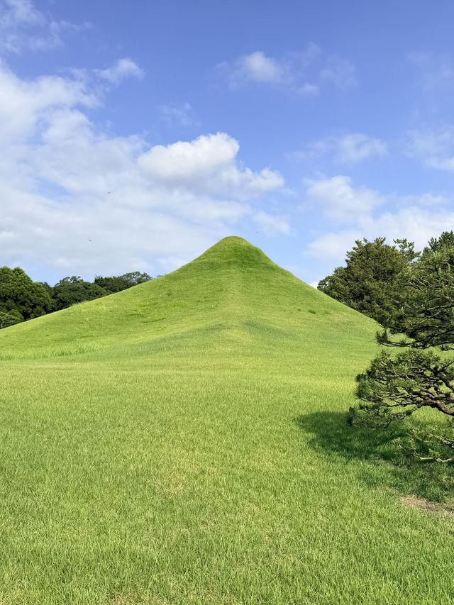 6日日本遊保姆級攻略建議收藏