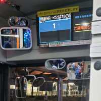 名花之里交通攻略