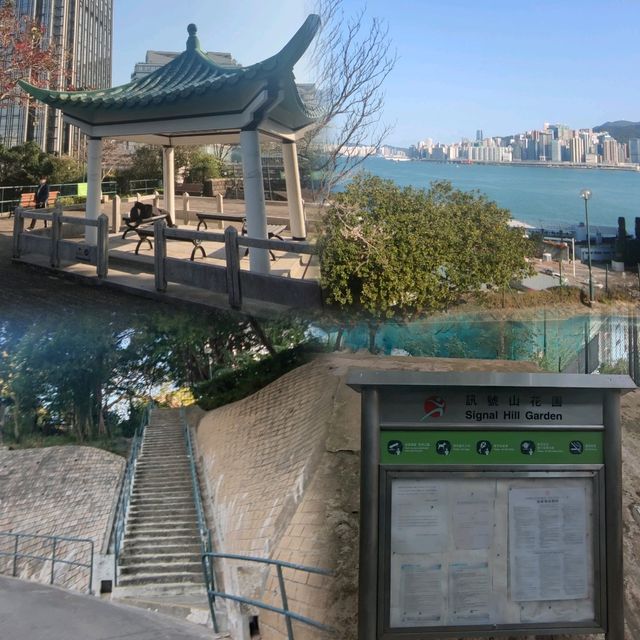 鬧市中的秘密花園~大包米訊號塔🗼