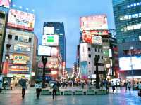 What to go to Tokyo for