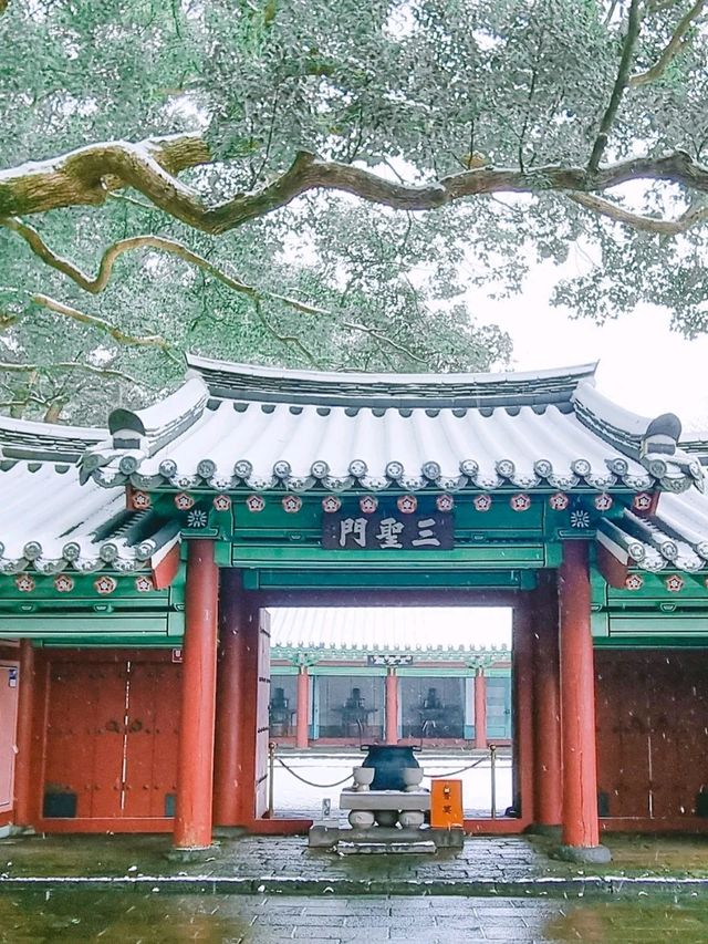 제주에서 봄&겨울 산책하기 좋은  곳"삼성혈"