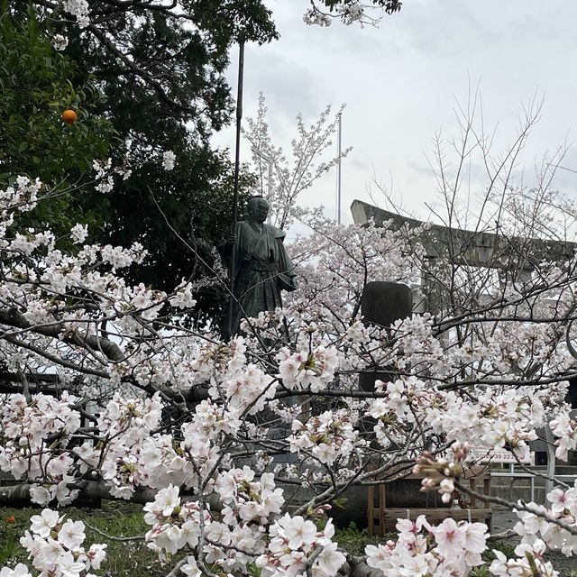 【福岡】桜百選西公園にある光雲神社参拝