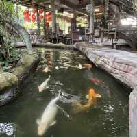 ดิ โอโซน คาเฟ่คลายร้อน ที่บางกระเจ้า