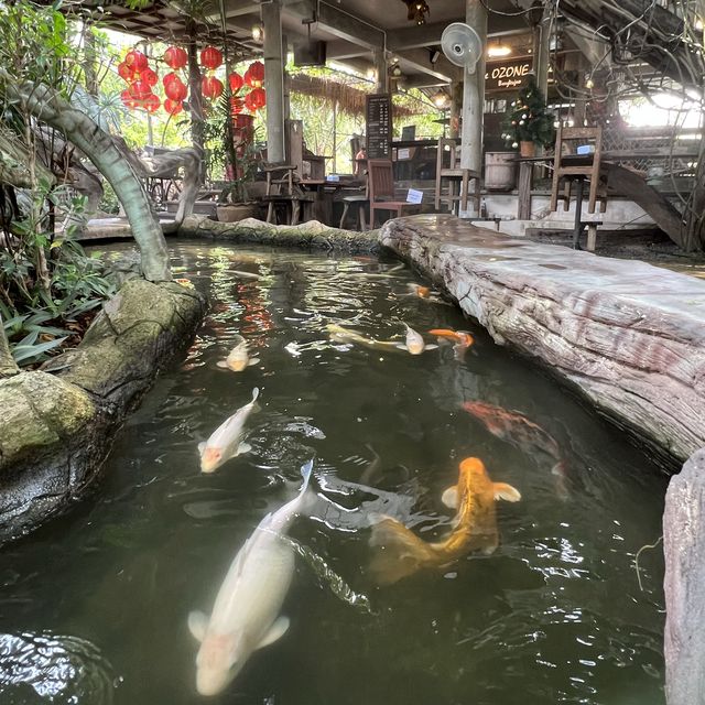 ดิ โอโซน คาเฟ่คลายร้อน ที่บางกระเจ้า