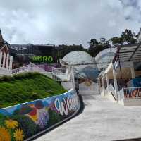 Agro Market @Cameron Highlands