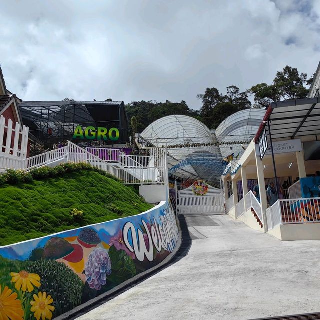 Agro Market @Cameron Highlands
